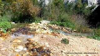 stello marchesa di Cassibile-10-02-2015 19-57-10